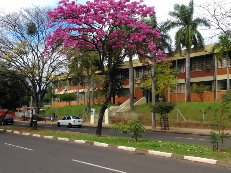 Diretoria de Ensino de Presidente Prudente abre processo seletivo com 14 vagas para Agente de Organização Escolar