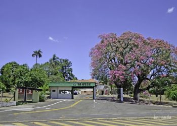 Famesp anuncia Processos Seletivos para profissionais de nível superior em Botucatu