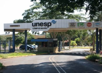 Unesp de Bauru anuncia Concurso Público para Professor Assistente; salário de 14,7 mil