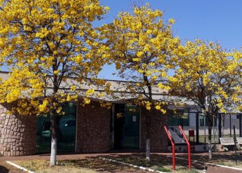 Etec de Ibaté anuncia quatro Processos Seletivos com ensino médio e técnico