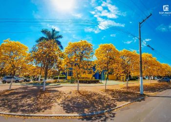 Prefeitura de Sales SP anuncia Concurso Público com diversas vagas
