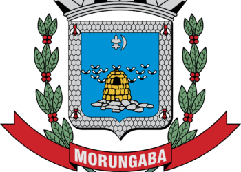 Prefeitura de Morungaba SP abre Processo Seletivo com 13 vagas para Agente Comunitário de Saúde